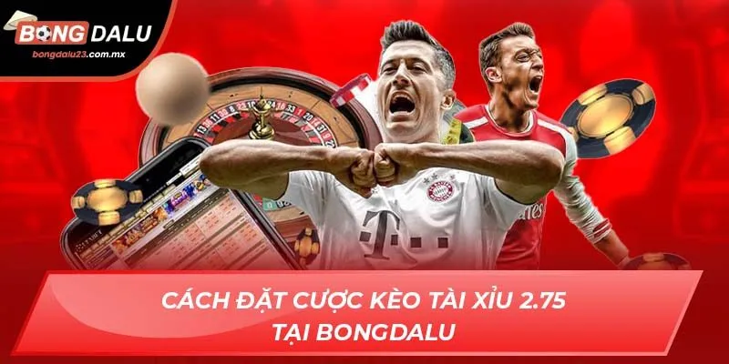 Cách đặt cược kèo tài xỉu 2.75 tại Bongdalu