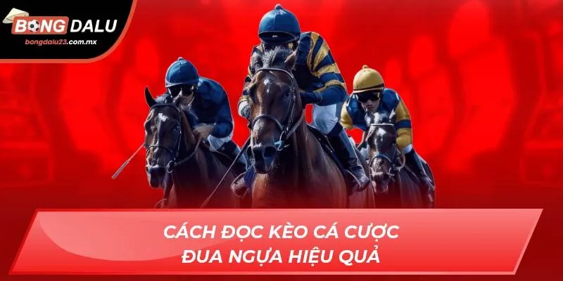 Cách đọc kèo cá cược đua ngựa hiệu quả