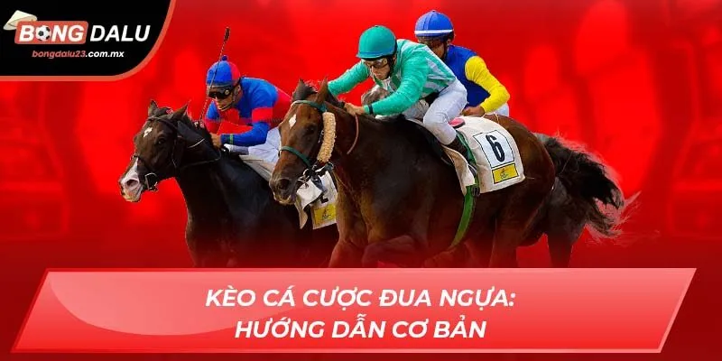 Kèo cá cược đua ngựa: Hướng dẫn cơ bản