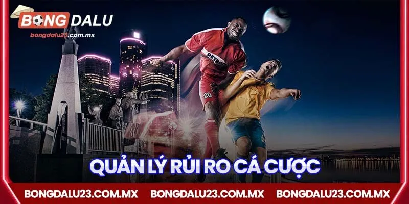 Bí quyết quản lý rủi ro cá cược